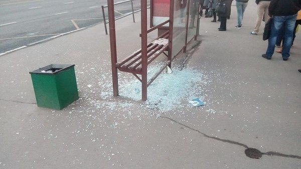 Полицейские ЗелАО возбудили уголовное дело о вандализме 