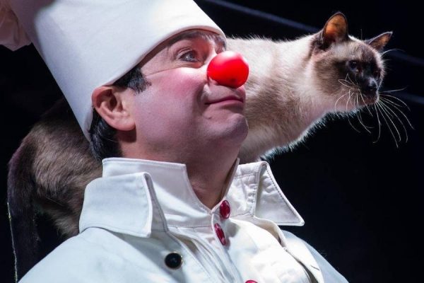 Шоу кошек Дмитрия Куклачева пройдет на сцене КЦ «Зеленоград» 