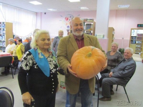 В районе Силино прошел традиционный осенний праздник-конкурс «Моя любимая дача»