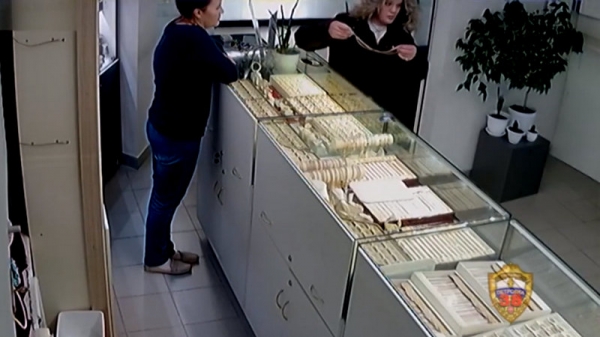 Полицейские Зеленограда задержали подозреваемого в совершении мошенничества и грабежа
