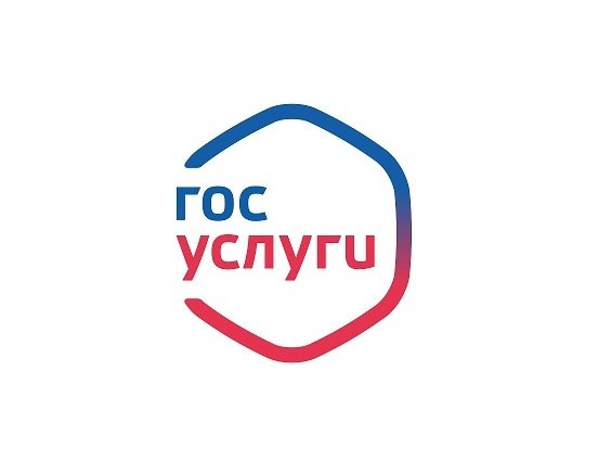 Заказать справки о наличии (отсутствии) судимости, подать заявление о замене или выдаче паспорта можно не выходя из дома