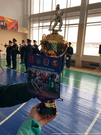 Спортсмены Зеленоградского МЧС завоевали золото и бронзу