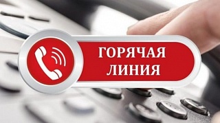 24 апреля подмосковный Росреестр проведет горячую линию  по «лесной амнистии»