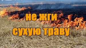 Об опасности пала травы