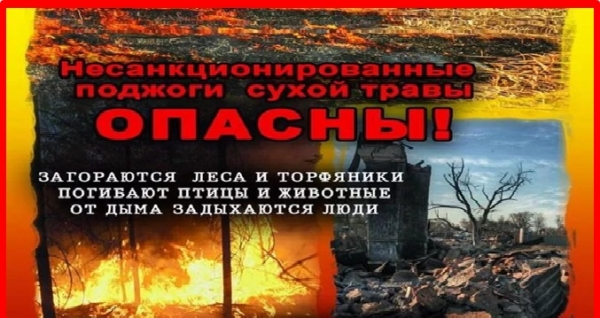 Пал сухой травы может привести к непоправимой беде