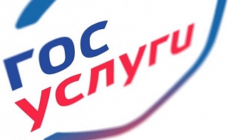 Государственные услуги в электронном виде – быстро, выгодно, удобно!