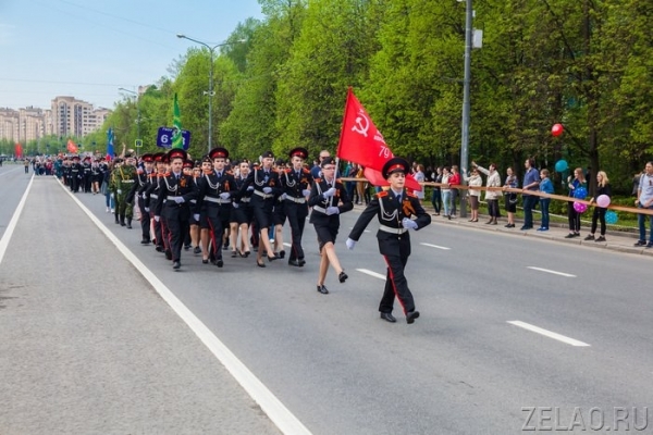 Около 3000 человек приняли участие в шествии «Бессмертного полка» в Зеленограде (фото, видео)