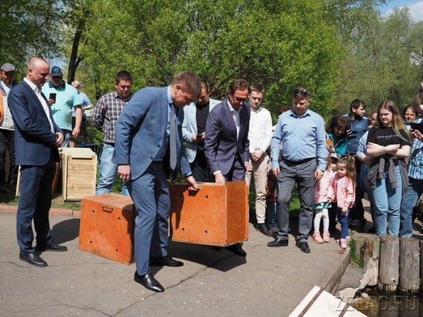 Префект Анатолий Смирнов выпустил лебедей на Быковом болоте