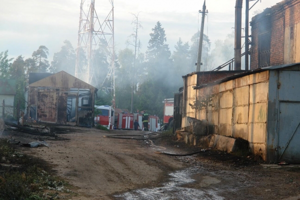 При пожаре в Менделеево погибли домашние животные и птицы