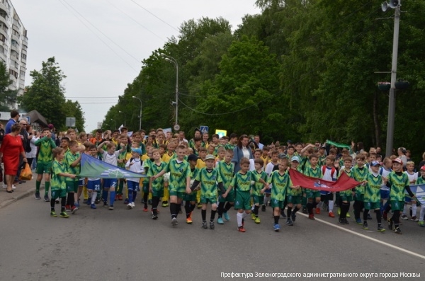 Зеленоградцы отметили День города Троицка вместе с троичанами
