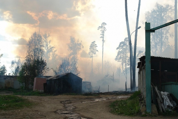 При пожаре в Менделеево погибли домашние животные и птицы