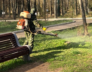    12 га парка в Солнечногорске обработали от клещей
