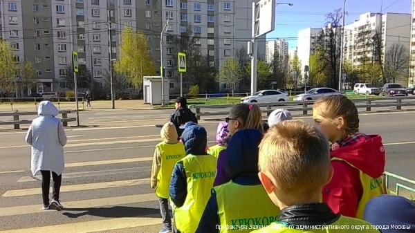 Сотрудники зеленоградской Госавтоинспекции провели акцию «Шагающий автобус»