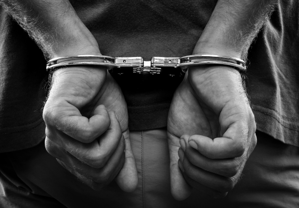 Полицейские ОМВД России по районам Матушкино и Савелки задержали подозреваемых в краже