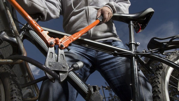 В Зеленограде раскрыли две кражи велосипедов