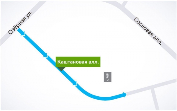 Участок Каштановой аллеи станет односторонним