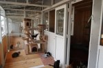В зеленоградском приюте для животных построили новые вольеры