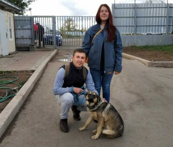 За прошедшие две недели в свои новые дома из приютов «Зеленоград» и «Зоорассвет» отправились 9 питомцев