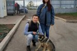 За прошедшие две недели в свои новые дома из приютов «Зеленоград» и «Зоорассвет» отправились 9 питомцев