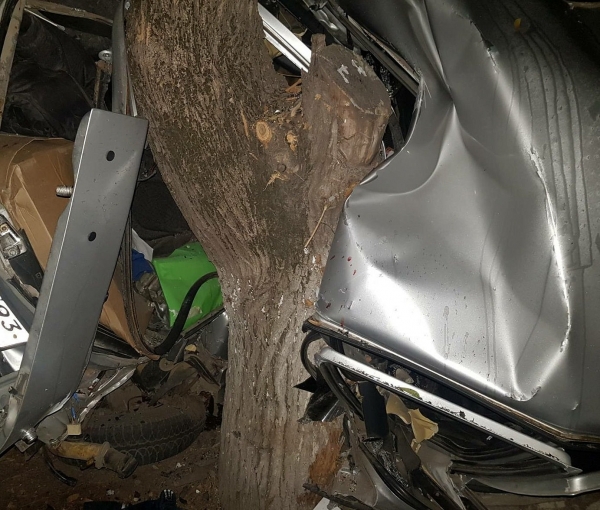 В Зеленограде автомобиль врезался в дерево