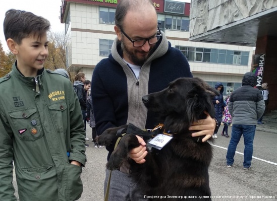 За прошедшую неделю 22 питомца из приютов «Зеленоград» и «Зоорассвет» уехали в свои новые дома