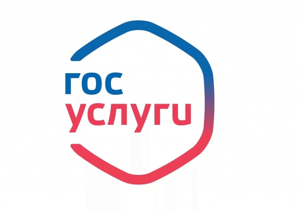 В 2020 году на портале госуслуг появится возможность проверить историю автомобиля