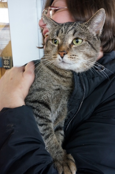 На минувшей неделе домашними стали 9 питомцев из приютов «Зеленоград» и «Зоорассвет»