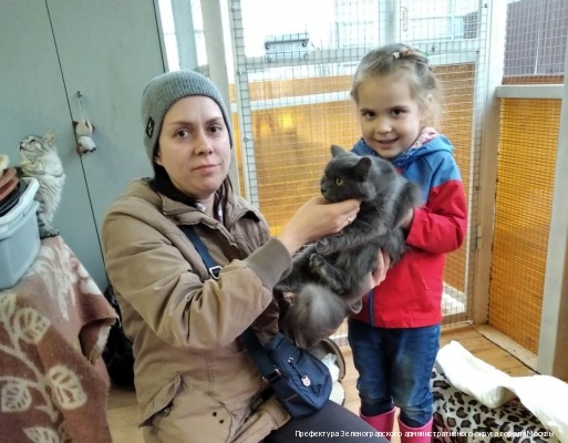 За прошедшую неделю 22 питомца из приютов «Зеленоград» и «Зоорассвет» уехали в свои новые дома