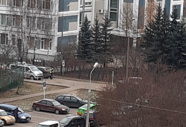 В Зеленограде женщина получила тяжелые травмы, спасая своего ребенка