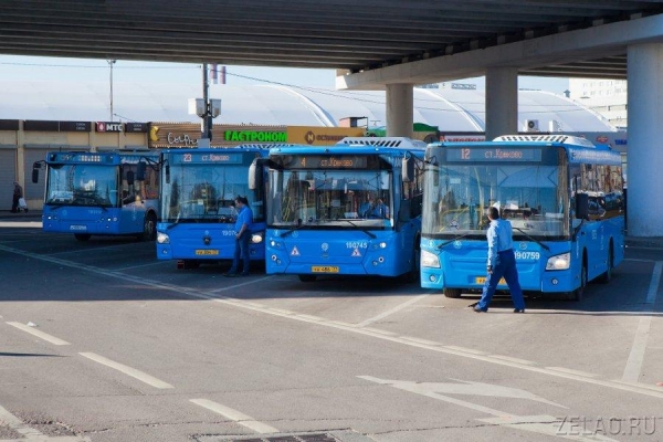 Изменено время работы автобусного маршрута №24 в Зеленограде