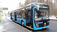 В Зеленограде курсируют уже 146 новых автобусов