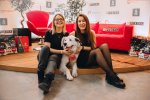 Зеленоградцев приглашают на фестиваль WOOF в поддержку бездомных животных
