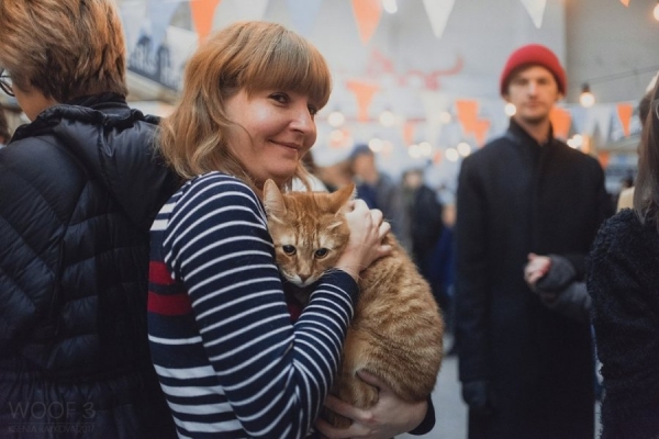 Зеленоградцев приглашают на фестиваль WOOF в поддержку бездомных животных
