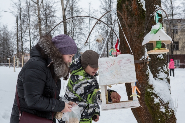В Зеленограде накормят птиц