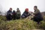 Волонтеры зеленоградского приюта для животных запустили проект Animal&Rock