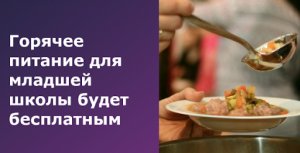 Родители сэкономят 12 тыс руб благодаря бесплатному питанию детей в школах Подмосковья