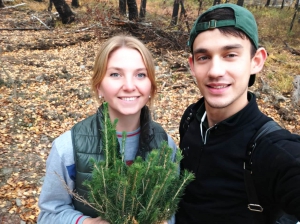 Посади лес