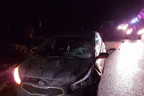В Зеленограде водитель Kia Rio насмерть сбил пешехода