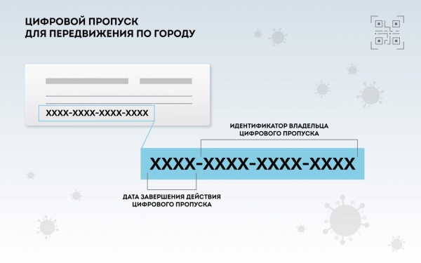 Как заказать цифровой пропуск, чтобы приехать в зеленоградскую поликлинику или больницу?