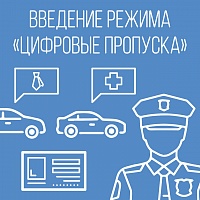 Когда, как и где получить цифровой пропуск?