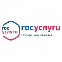 Полиция Зеленограда рассказывает, как воспользоваться госуслугами