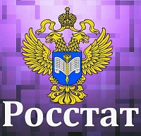 Каждому по страховке: Росстат защитит переписчиков будущей переписи 