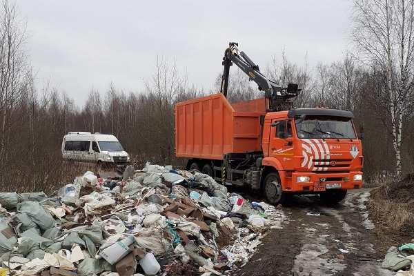 Возле Зеленограда обнаружили крупную незаконную свалку