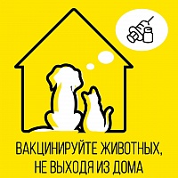 Вакцинируйте домашних животных, не выходя из дома