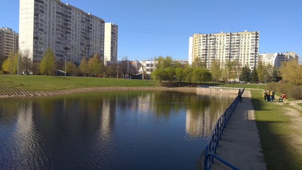В Зеленограде обмелел Михайловский пруд