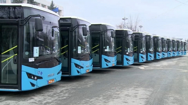 В Зеленограде автобусный парк увеличится на 60 машин