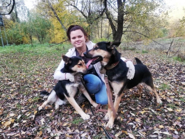 В приютах «Зеленоград» и «Зоорассвет» подвели итоги пристройства питомцев в период самоизоляции