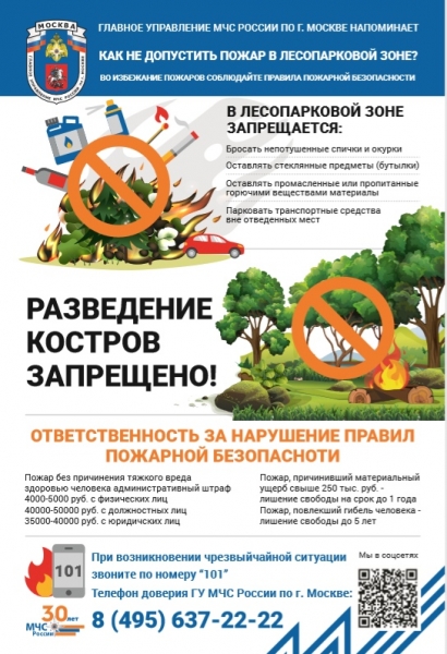 Памятка населению по действиям при возникновении лесного пожара