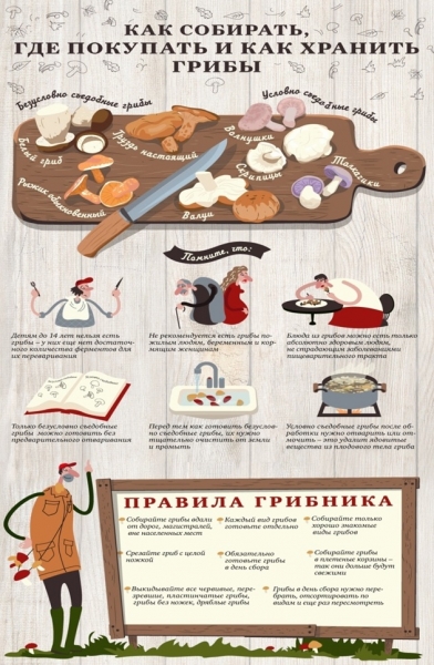 О съедобности различных грибов