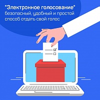 Завершена регистрация на электронное голосование